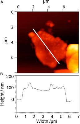 Electrically conducting films prepared from graphite and lignin in pure water